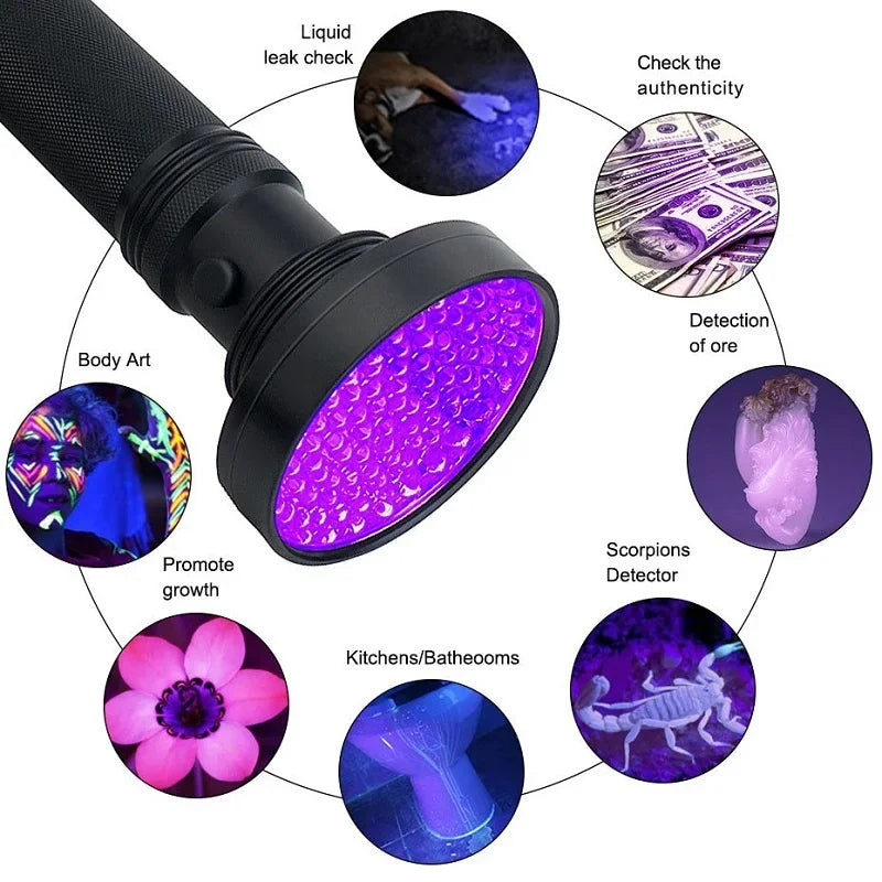 Lampe de poche UV pour la détection des punaises de lit et la recherche de taches