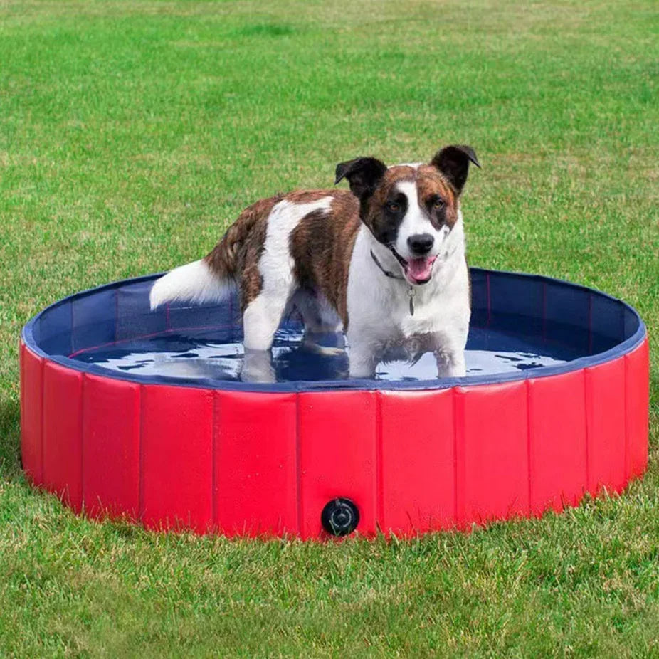 Piscine Pliable pour Chien