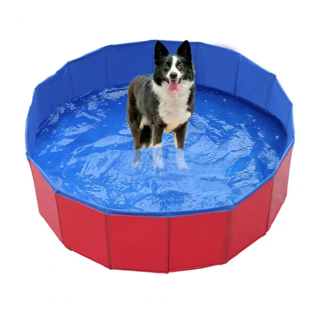 Piscine Pliable pour Chien