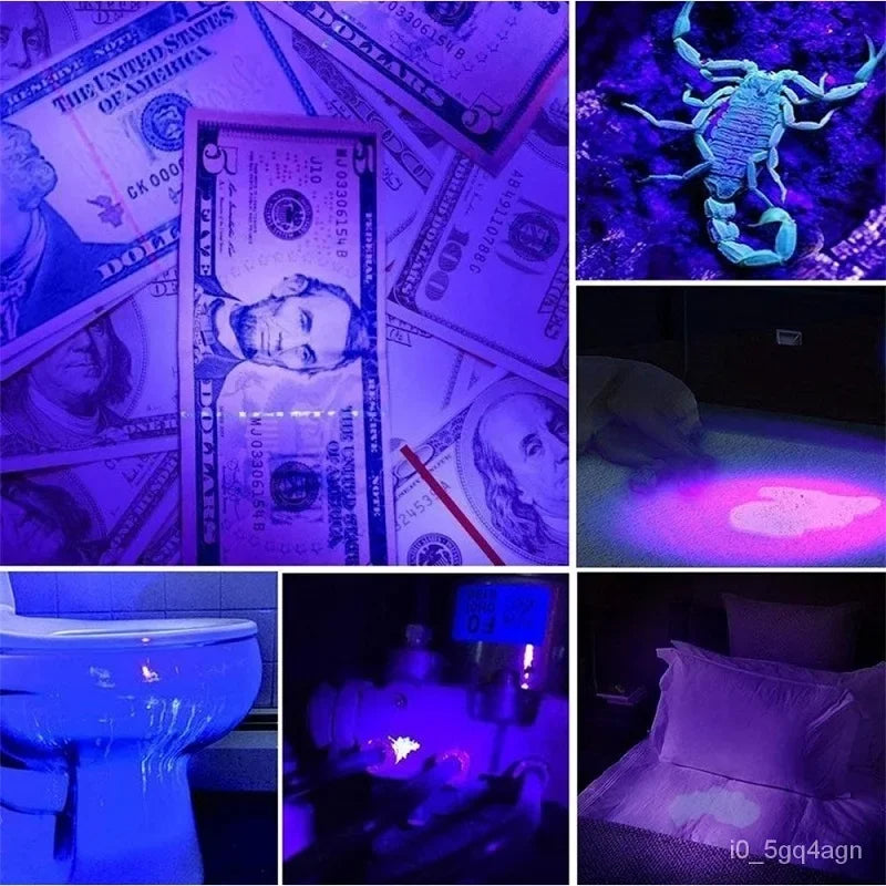 Lampe de poche UV pour la détection des punaises de lit et la recherche de taches