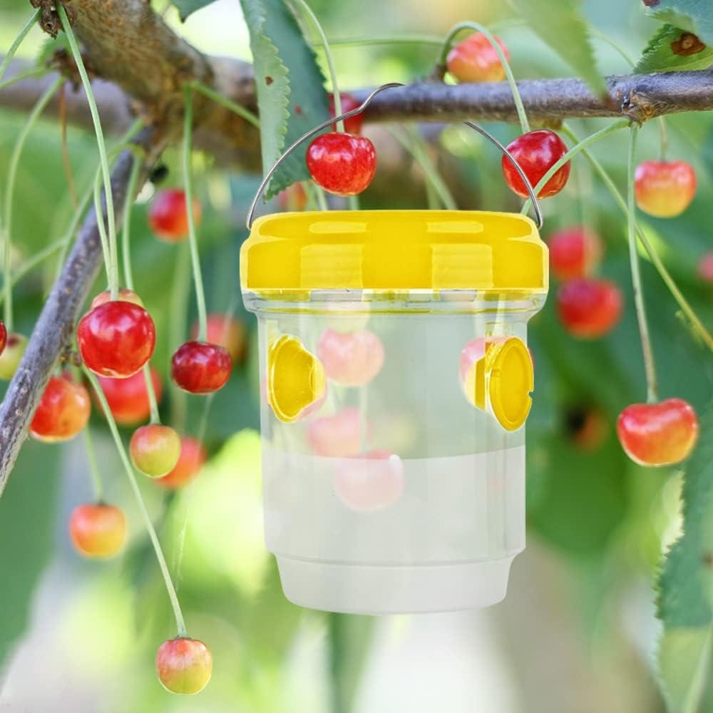 Pièges à Mouches des Fruits