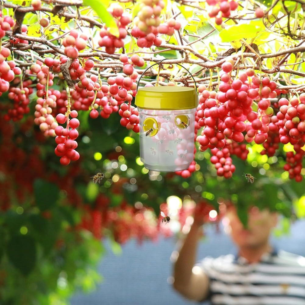 Pièges à Mouches des Fruits