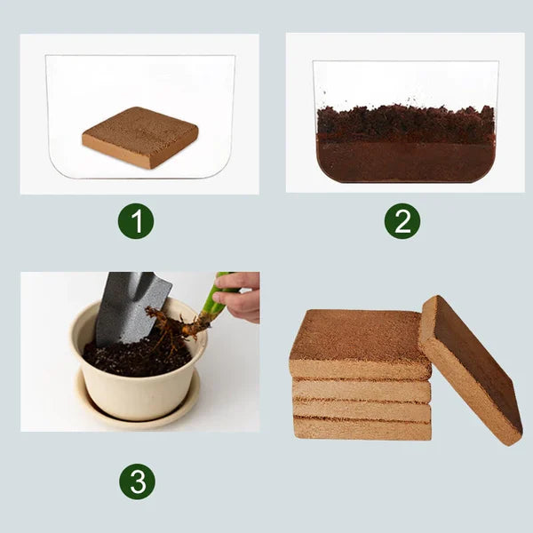 Fibre de Coco Biologique Pour Plantes
