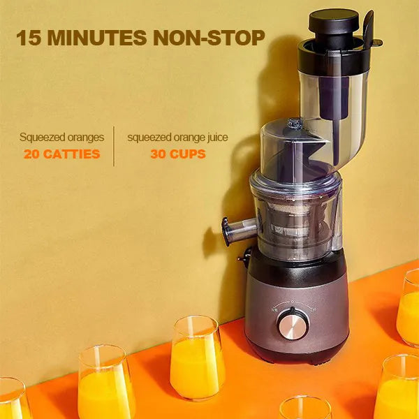 Extracteur de Jus Automatique - Extracteur de Résidus Domestiques pour Fruits et Légumes