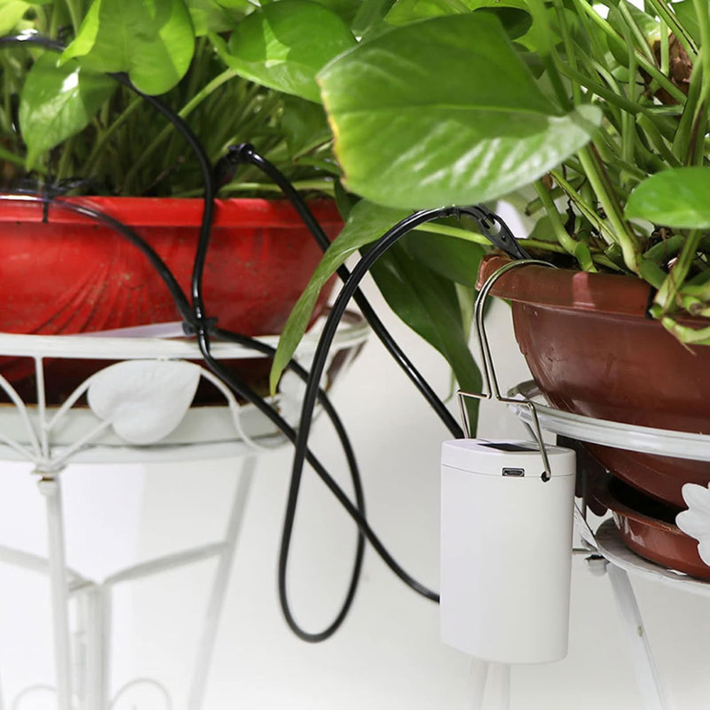 Système d'arrosage automatique pour jardin intelligent pour une croissance saine des plantes
