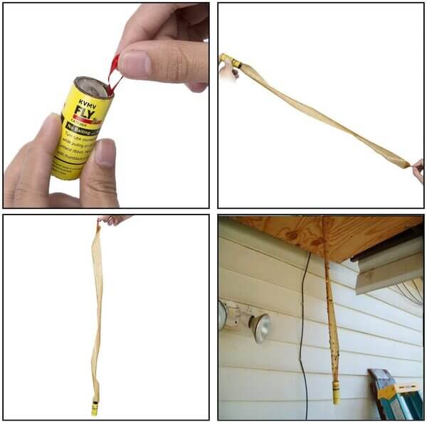 Rouleau Attrape-Mouches