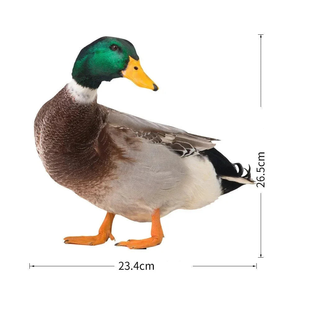 Sculpture de Canard | Canard Réaliste Pour Le Jardin