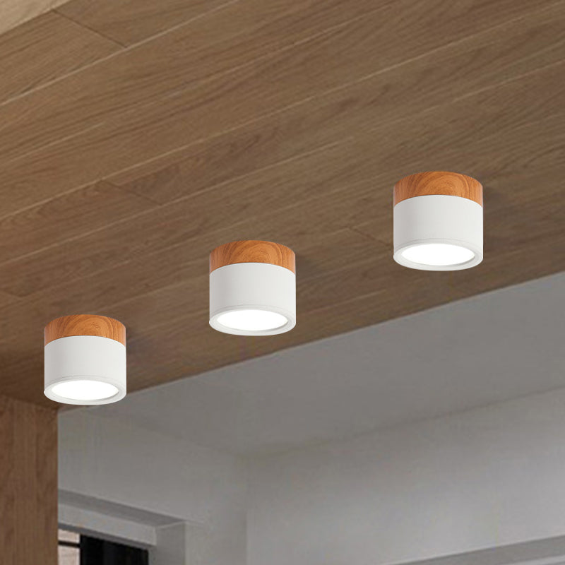 VibrantGlow - Elegant Small Ceiling Lamp