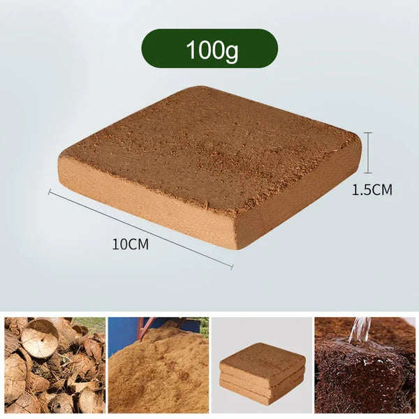 Fibre de Coco Biologique Pour Plantes