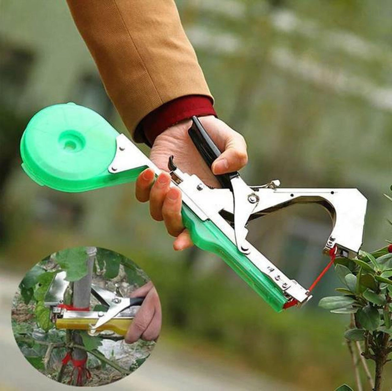 Supports de plantes