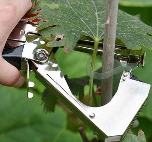 Supports de plantes
