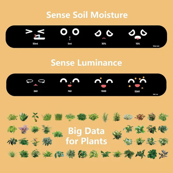 Pot de Plante Intelligent Ivy - Entretien Innovant des Plantes