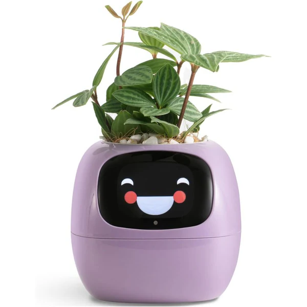 Pot de Plante Intelligent Ivy - Entretien Innovant des Plantes