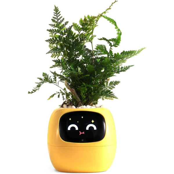 Pot de Plante Intelligent Ivy - Entretien Innovant des Plantes