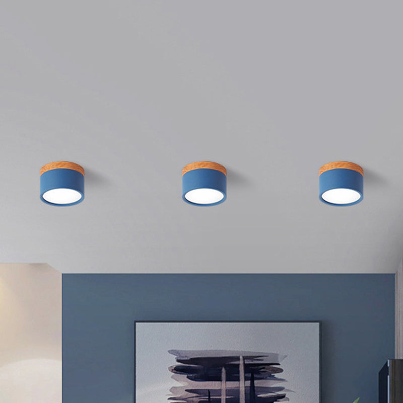 VibrantGlow - Elegant Small Ceiling Lamp