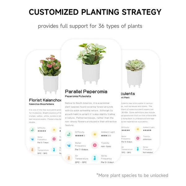 Pot de Plante Intelligent Ivy - Entretien Innovant des Plantes