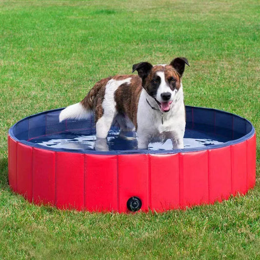 Piscine Pliable pour Chien