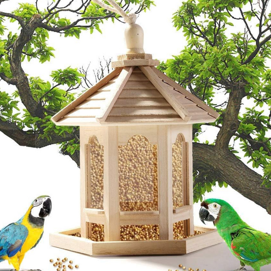 Mangeoire en Bois Transparent pour Oiseaux Domestiques