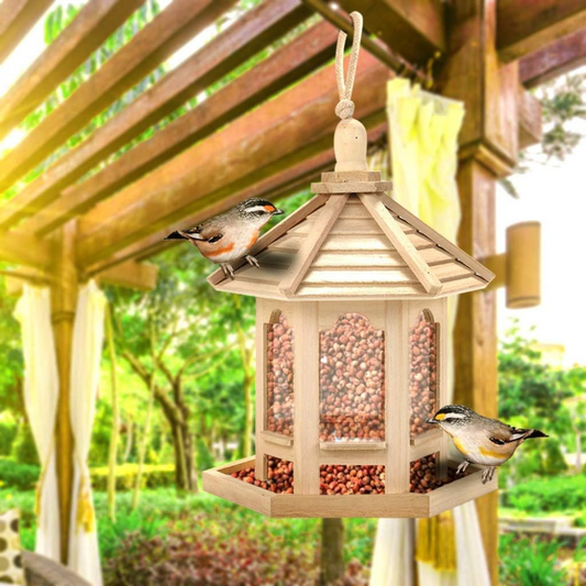 Mangeoire en Bois Transparent pour Oiseaux Domestiques