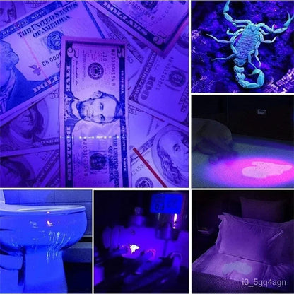 Lampe de poche UV pour la détection des punaises de lit et la recherche de taches