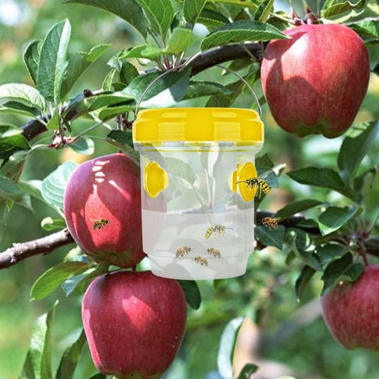 Pièges à Mouches des Fruits