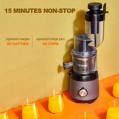 Extracteur de Jus Automatique - Extracteur de Résidus Domestiques pour Fruits et Légumes