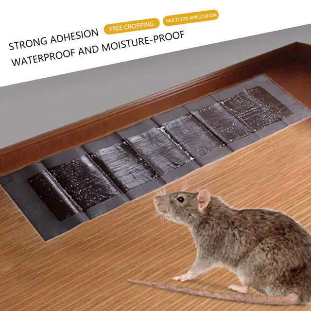 5 Extra-Large Sticky Plates For Mice And Rats