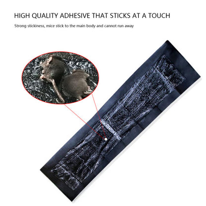 5 Extra-Large Sticky Plates For Mice And Rats