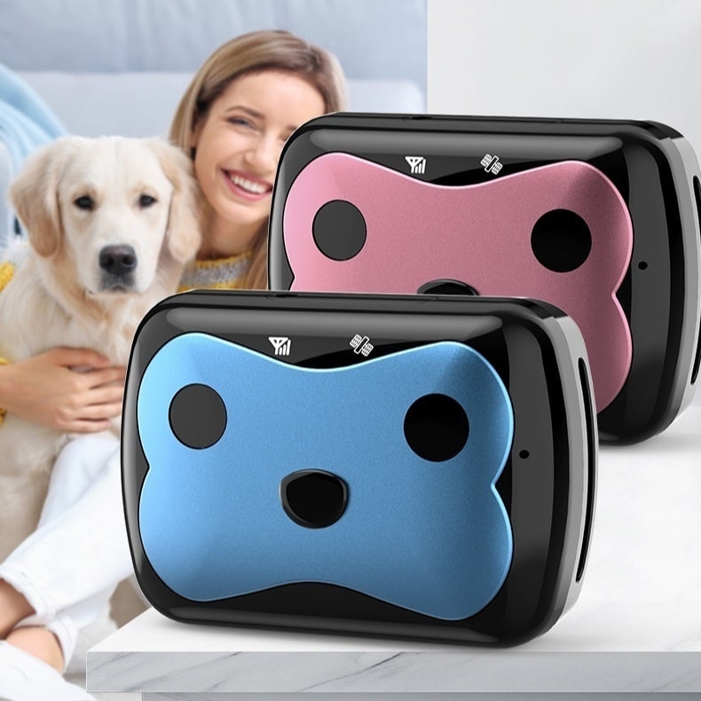 Traceur GPS pour Chiens | Collier de Localisation