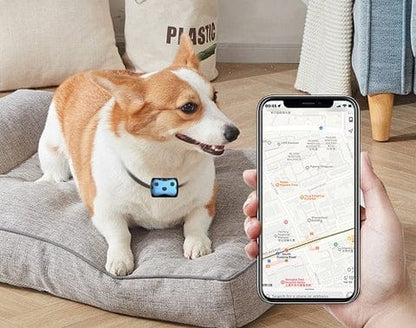 Traceur GPS pour Chiens | Collier de Localisation