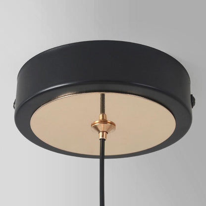 Suspension Unique Ronde/Ovale Oiseau Étranger LED