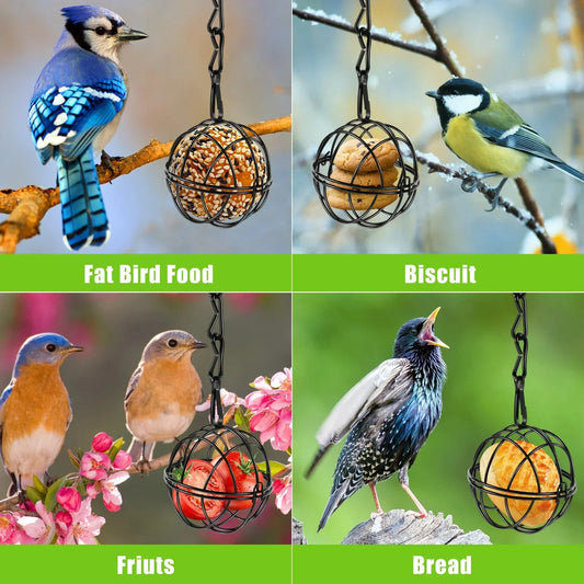 Ensemble de Mangeoires à Oiseaux Suspendues en Métal