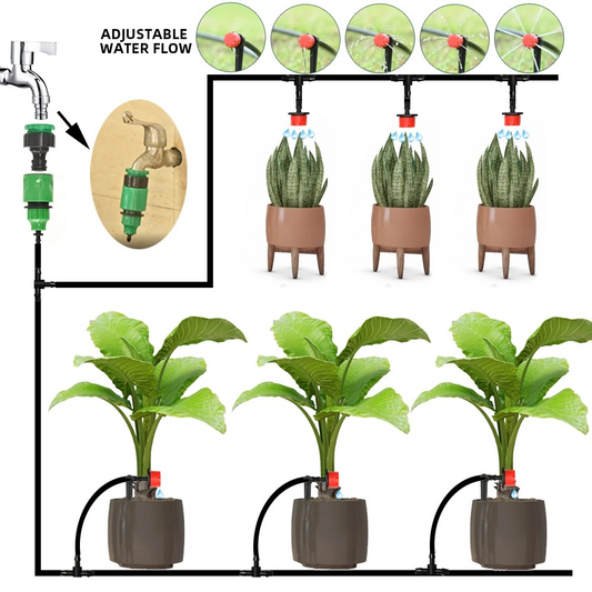 Système d'irrigation goutte à goutte avec minuterie automatique