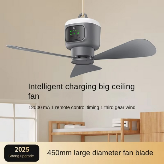 Ventilateur de plafond sans fil portable