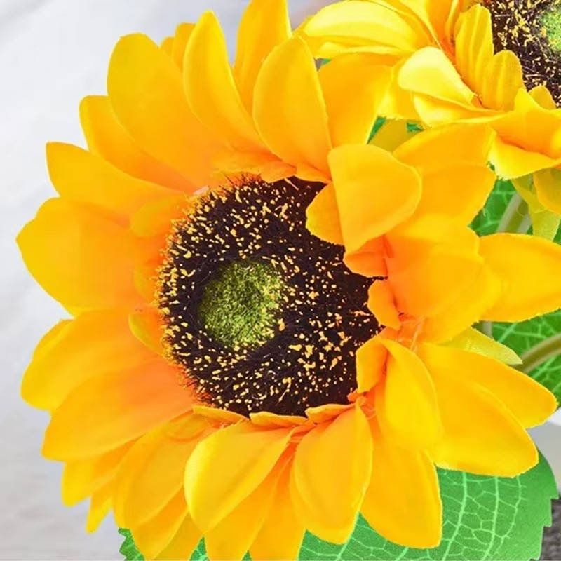 Lampe Tournesol