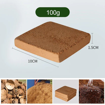 Fibre de Coco Biologique Pour Plantes