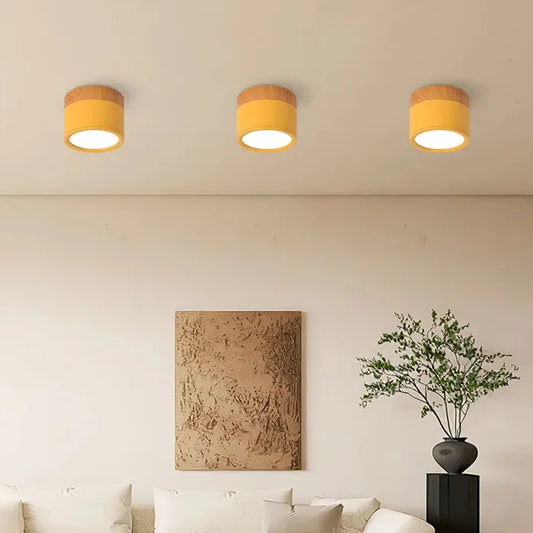 VibrantGlow - Petite Lampe de Plafond Élégante