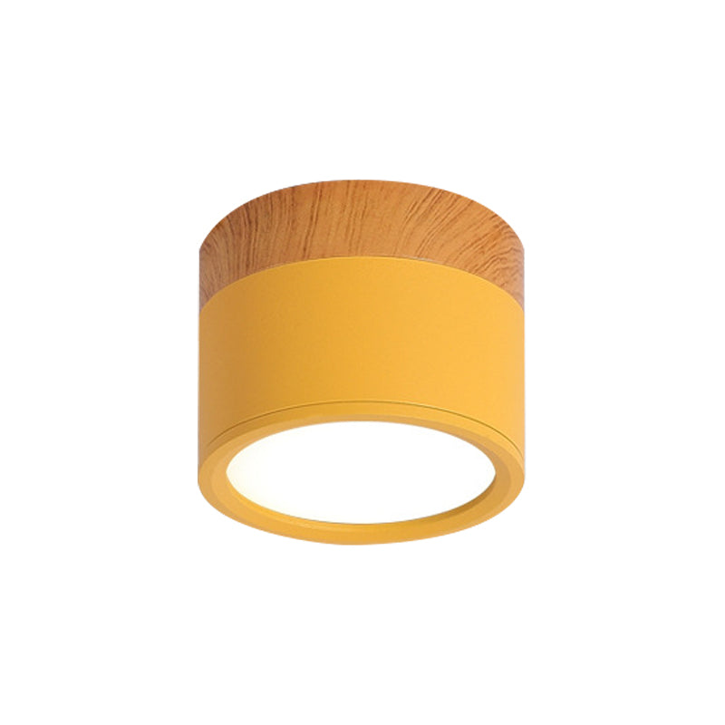 VibrantGlow - Elegant Small Ceiling Lamp