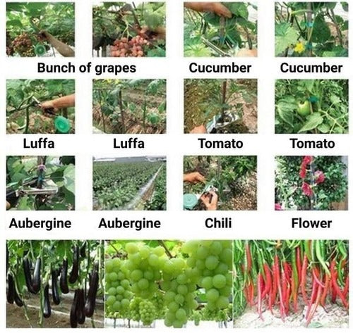Supports de plantes
