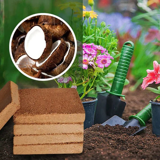 Fibre de Coco Biologique Pour Plantes