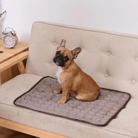 Tapis Refroidissant pour Animaux