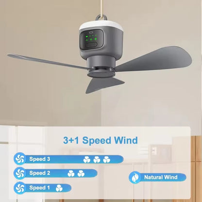 Ventilateur de plafond sans fil portable