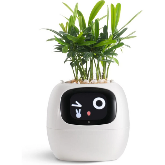 Pot de Plante Intelligent Ivy - Entretien Innovant des Plantes