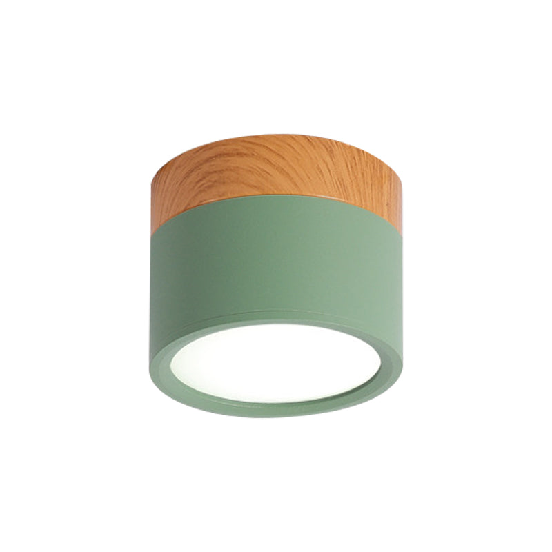 VibrantGlow - Elegant Small Ceiling Lamp