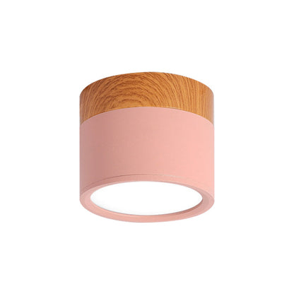 VibrantGlow - Elegant Small Ceiling Lamp