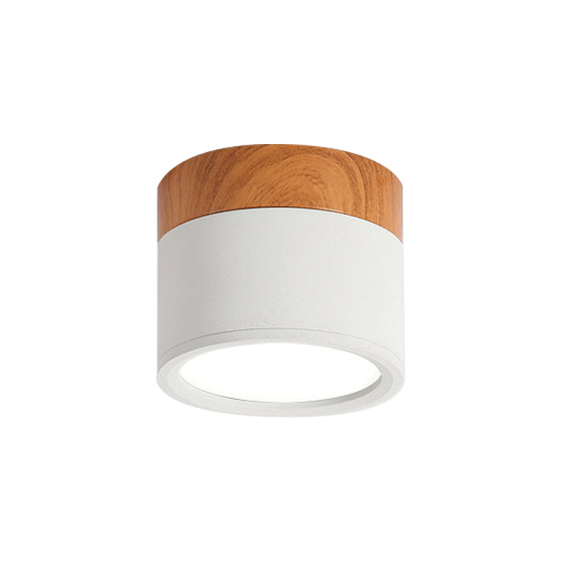 VibrantGlow - Elegant Small Ceiling Lamp