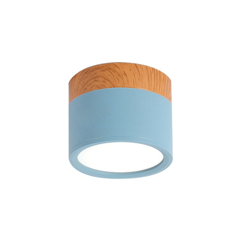 VibrantGlow - Elegant Small Ceiling Lamp