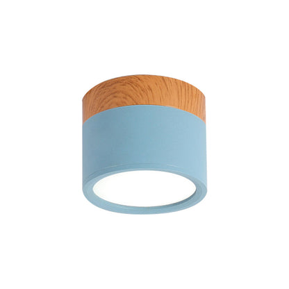 VibrantGlow - Elegant Small Ceiling Lamp