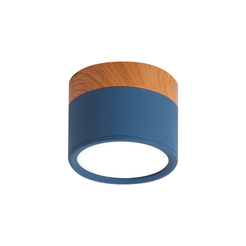 VibrantGlow - Elegant Small Ceiling Lamp