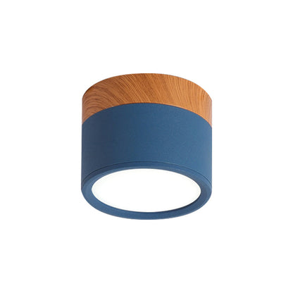 VibrantGlow - Elegant Small Ceiling Lamp